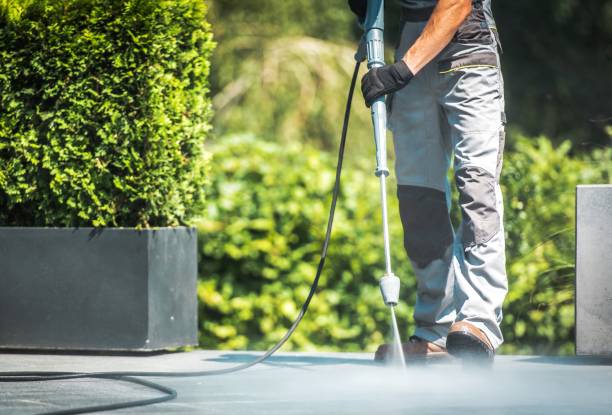 Professional  Pressure Washing Services in Leland, MS